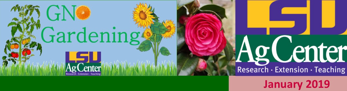 GNO Gardening - January 2019